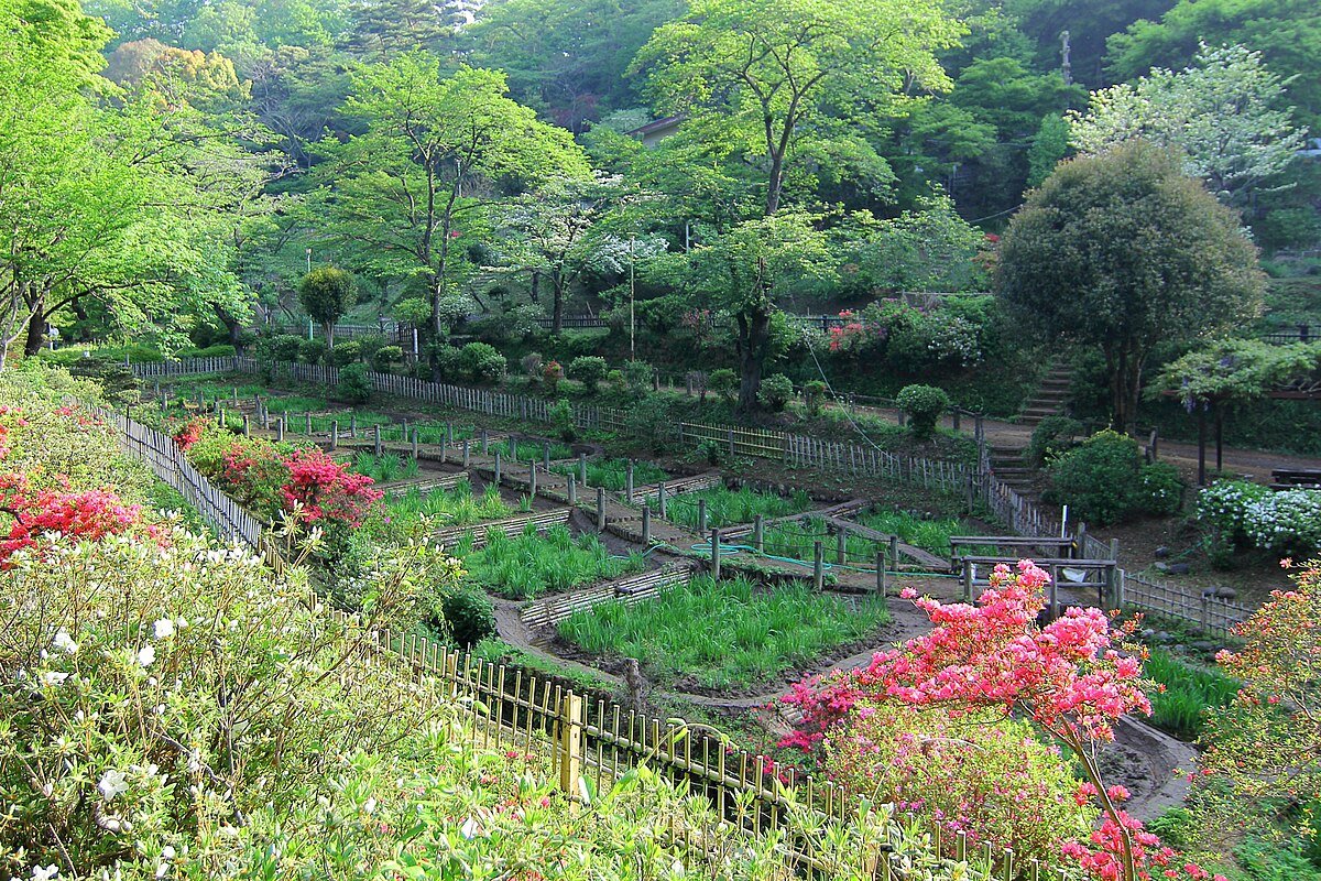 🏞️ 아즈마 종합 운동공원 (아즈마 소고운도코엔) 이미지 8
